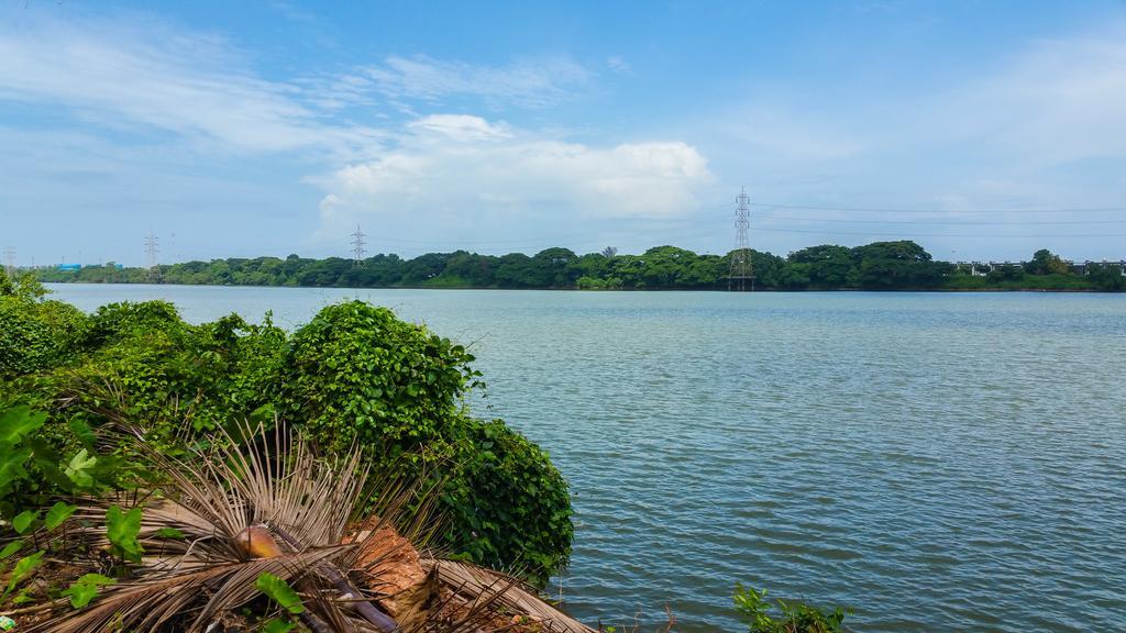 River View Guest House - Kavitha Residency Мангалор Экстерьер фото